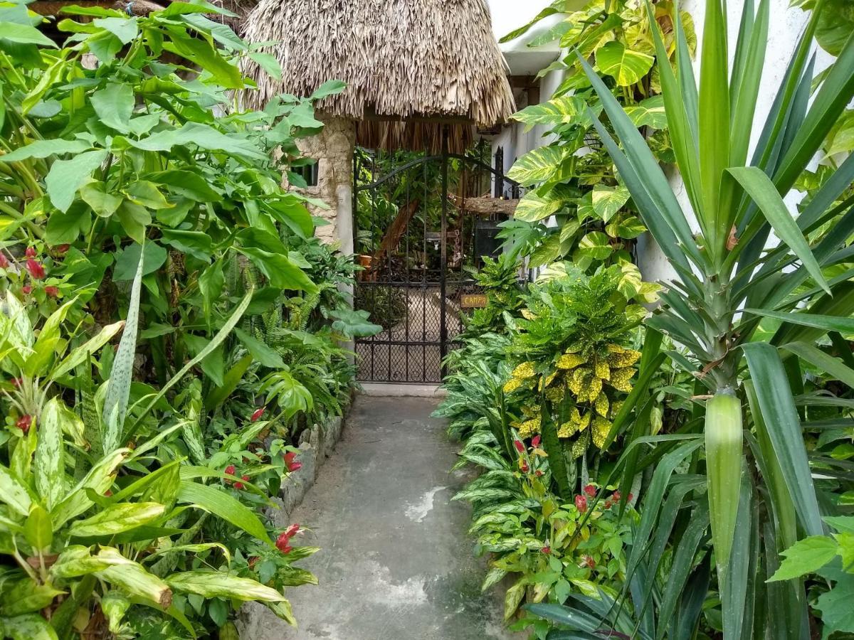 Casitas Kinsol Hotel Puerto Morelos Exterior photo